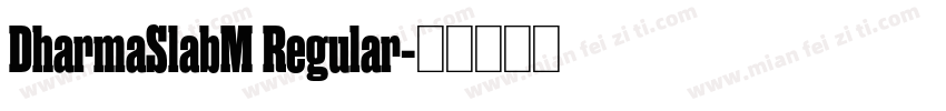 DharmaSlabM Regular字体转换